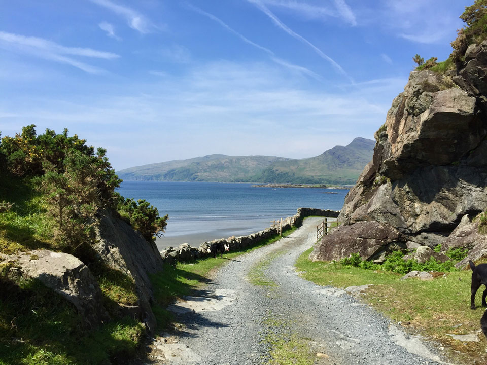 Road to Laggan Lodge on the Isle of Mull